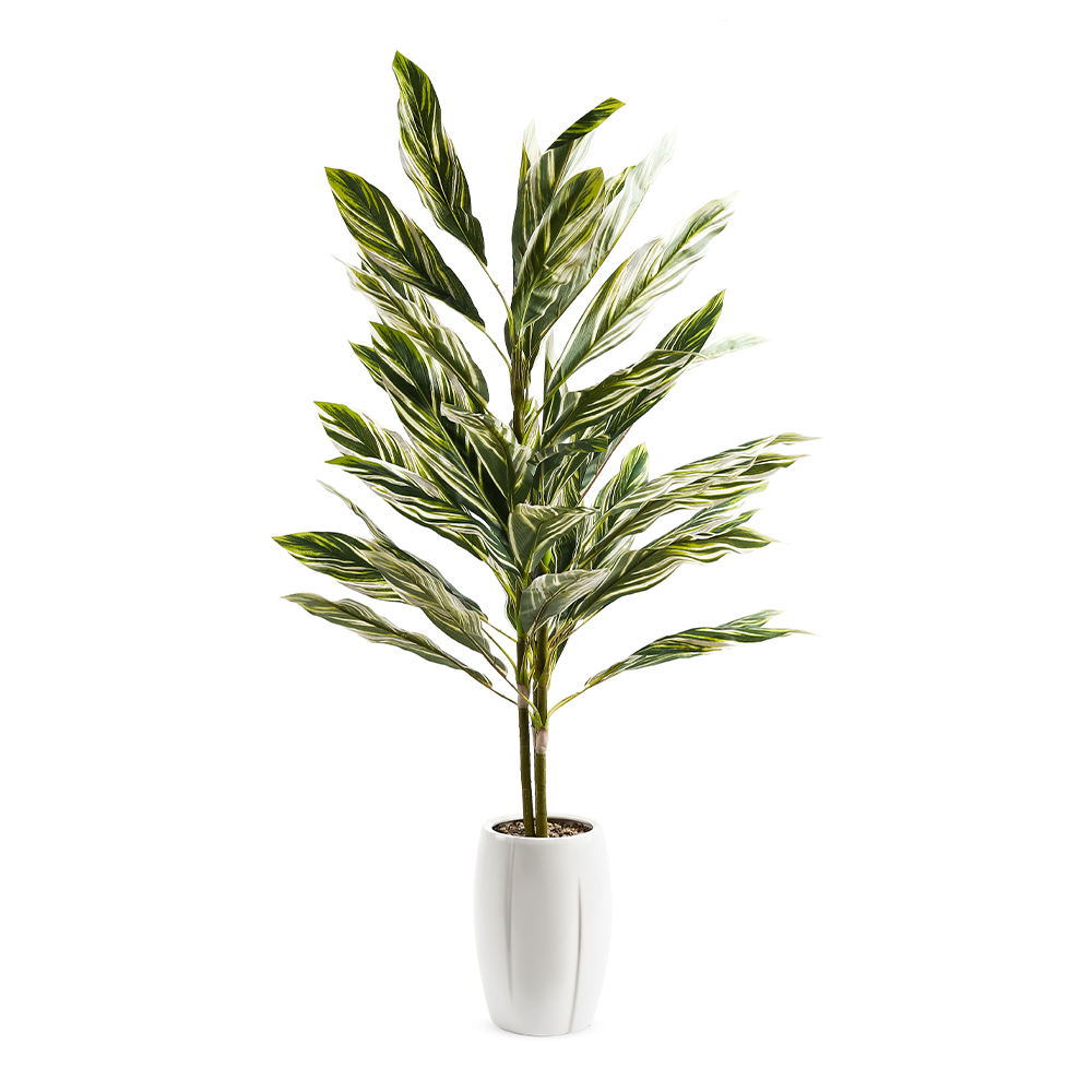 شجرة تين بأصيص حجري، أخضر وأسود - 60x109 سم